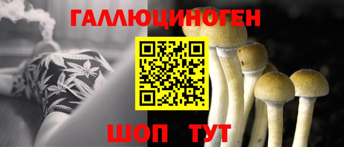 Мурманск  Галлюциногенные грибы MAGIC MUSHROOMS  Вход с VPN 